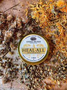 Anima Mundi- Heal All Arnica Relief Balm | Nourish, Soothe + Repair